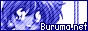 88x31