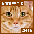  Cats: Domestic 
