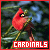  Cardinals 