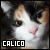  Cats: Calico 