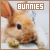  Rabbits & Bunnies 