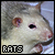  Rats 