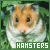  Hamsters 