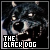  Black Dog 
