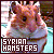 Hamsters: Syrian 