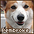  Dogs: Pembroke Welsh Corgis 